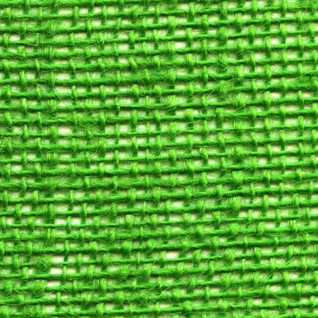 lightgreen lightgreen